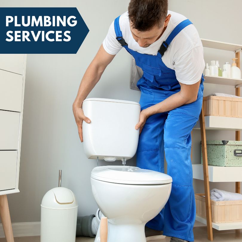 Plumbing Company in Bristol, FL